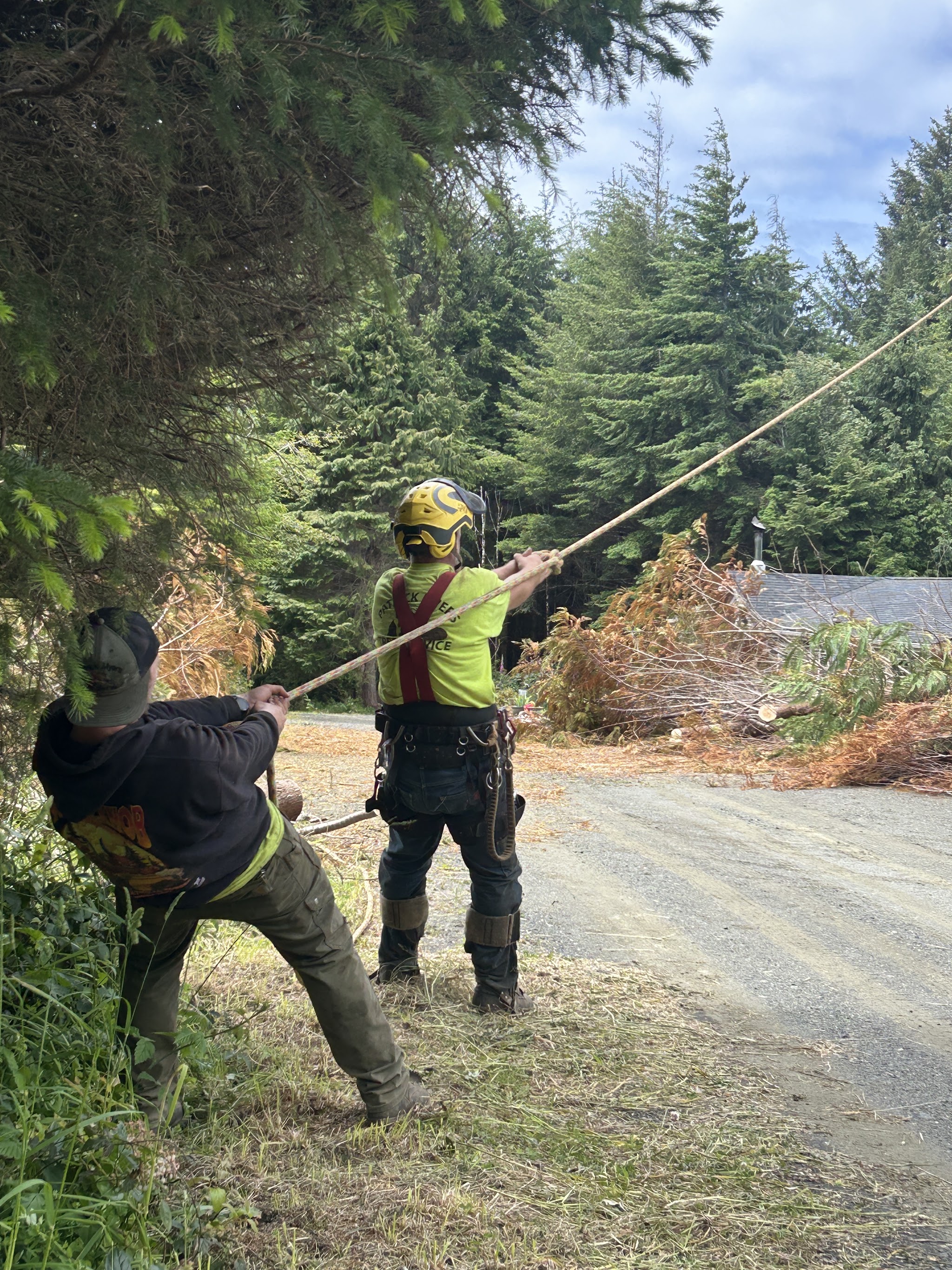 Patrick Myers Tree Service crew rigging a rope pull on a residential job
