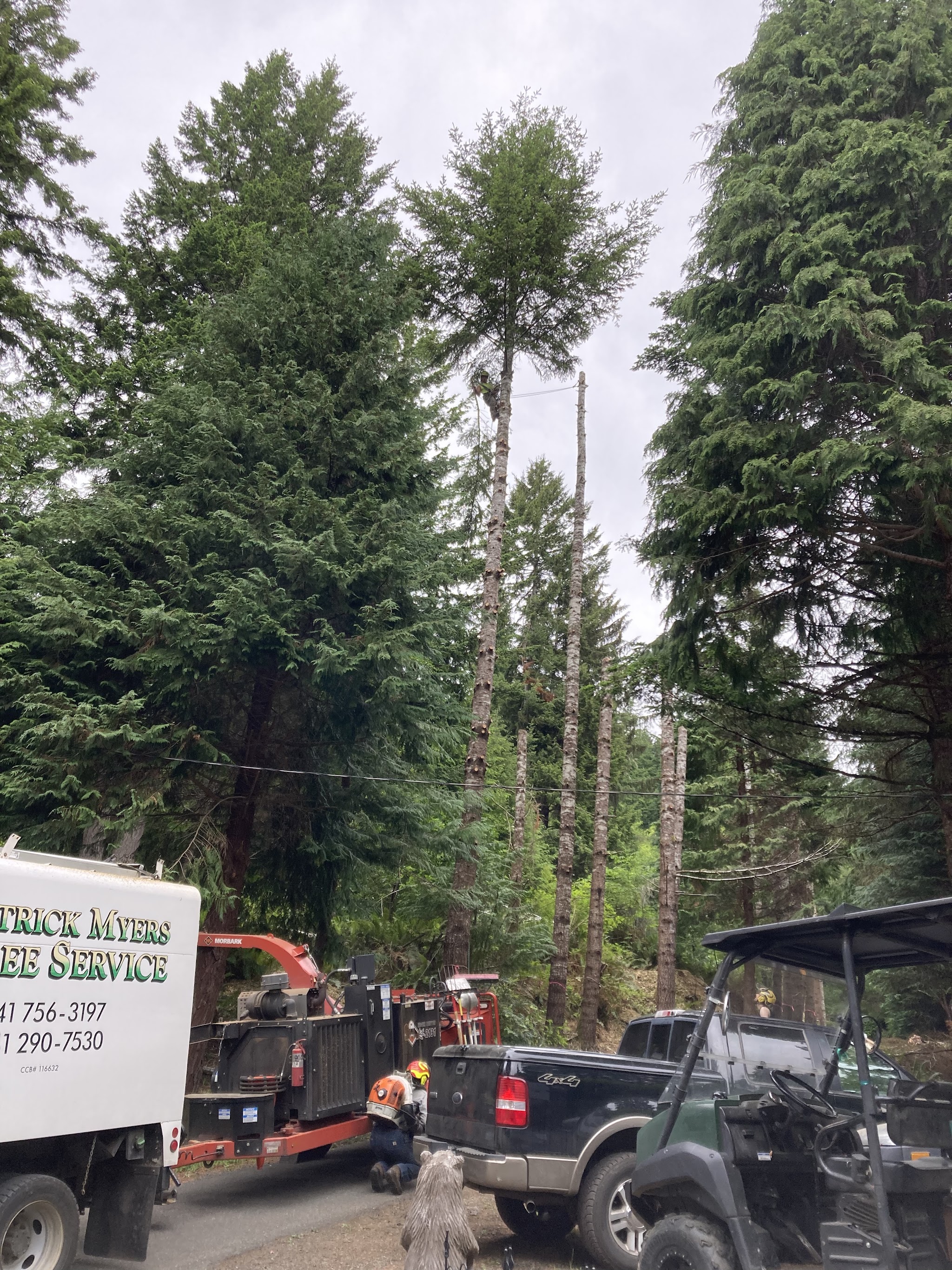 Patrick Myers Tree Service truck and Morbark chipper on a job site in Coos Bay