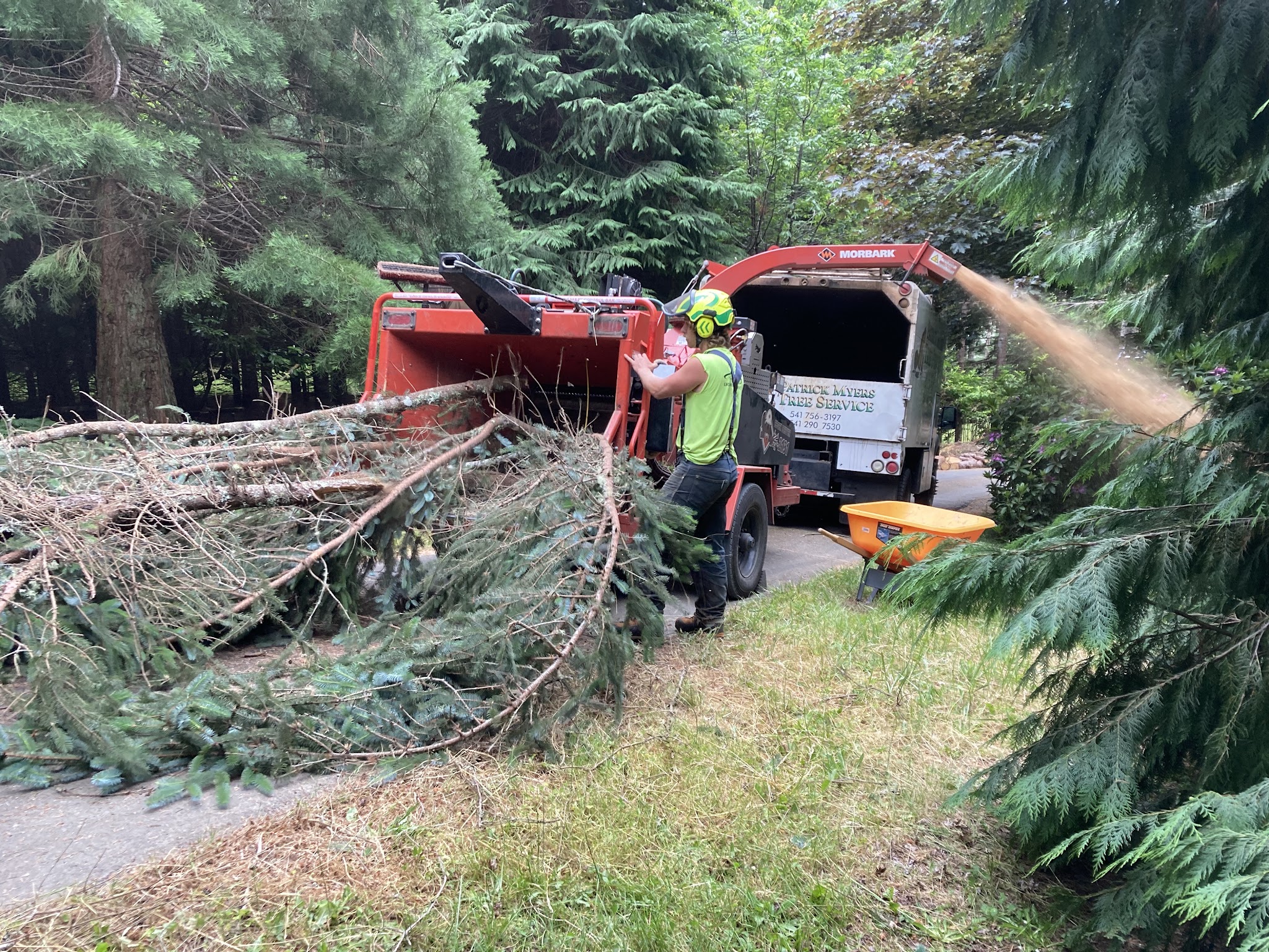Patrick Myers Tree Service crew feeding branches into a Morbark wood chipper